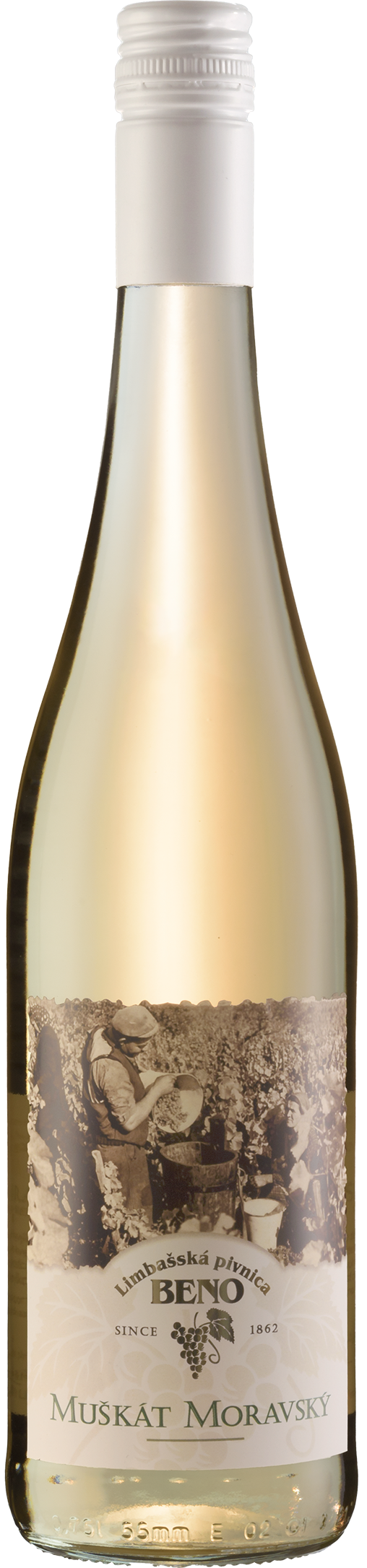 Produkt Muškát Moravský 2024