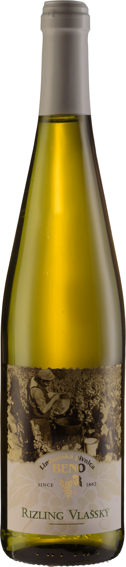 Produkt Rizling Vlašský 2024